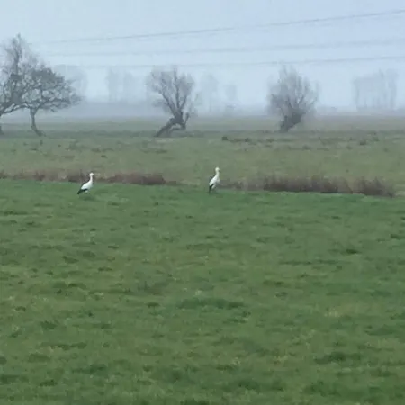Meuble 3 Etoiles, Proche Plages Debarquement Dans Les Marais Du Cotentin A * 卡朗唐